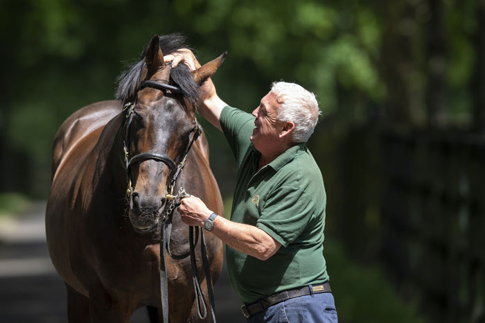 rpbloodstock's tweet photo. "He has been, unquestionably, the greatest stallion to have ever stood at the Irish National Stud. We're delighted to be able to retire him now on his own terms."

Invincible Spirit retired at 27 👉 https://t.co/ptGcfUCF2f https://t.co/feZWjx1NpZ