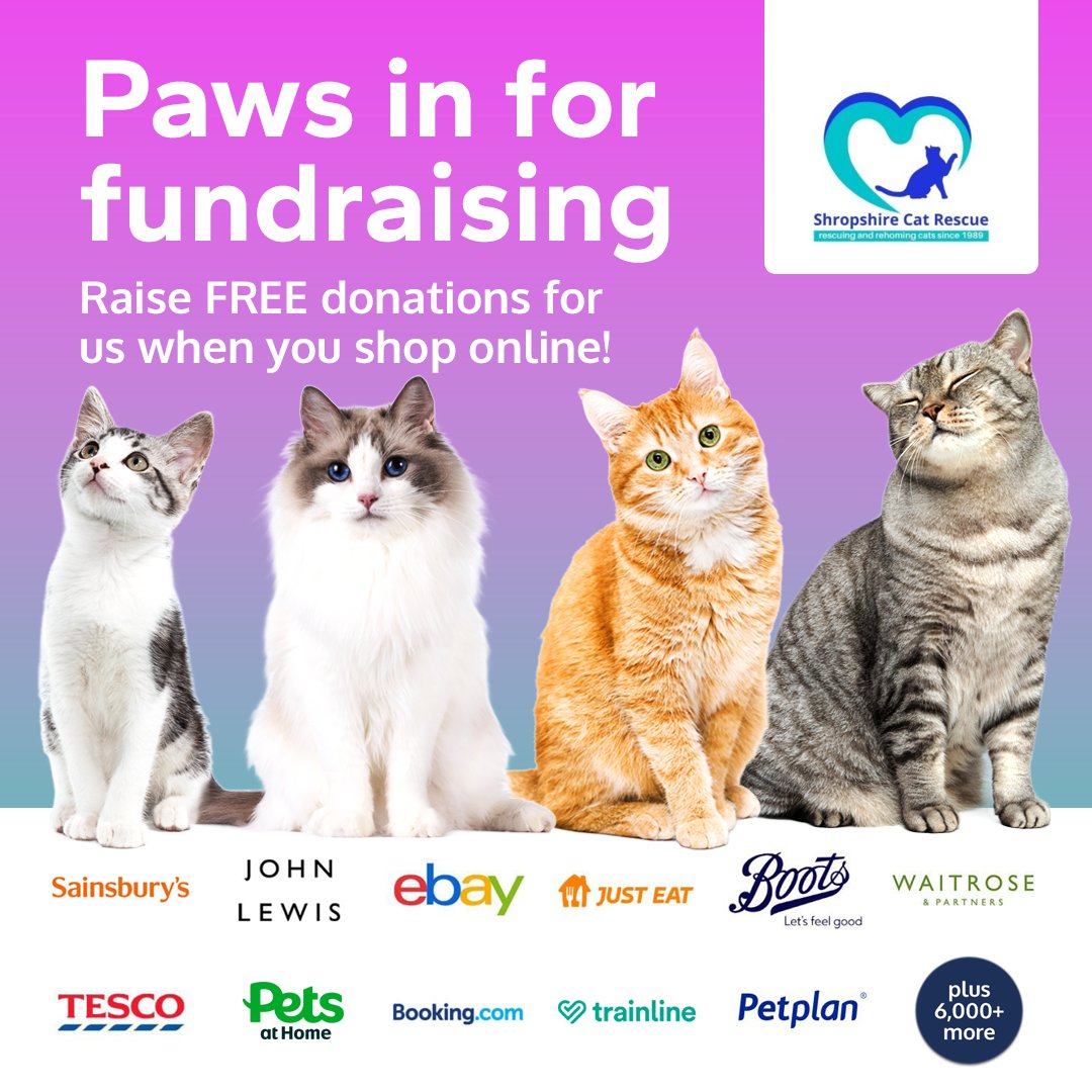 ShropsCatRescue's tweet photo. It costs you nothing to sign up and helps raise funds for us
https://t.co/amBYwriv7Y https://t.co/fKoKsKMcM8