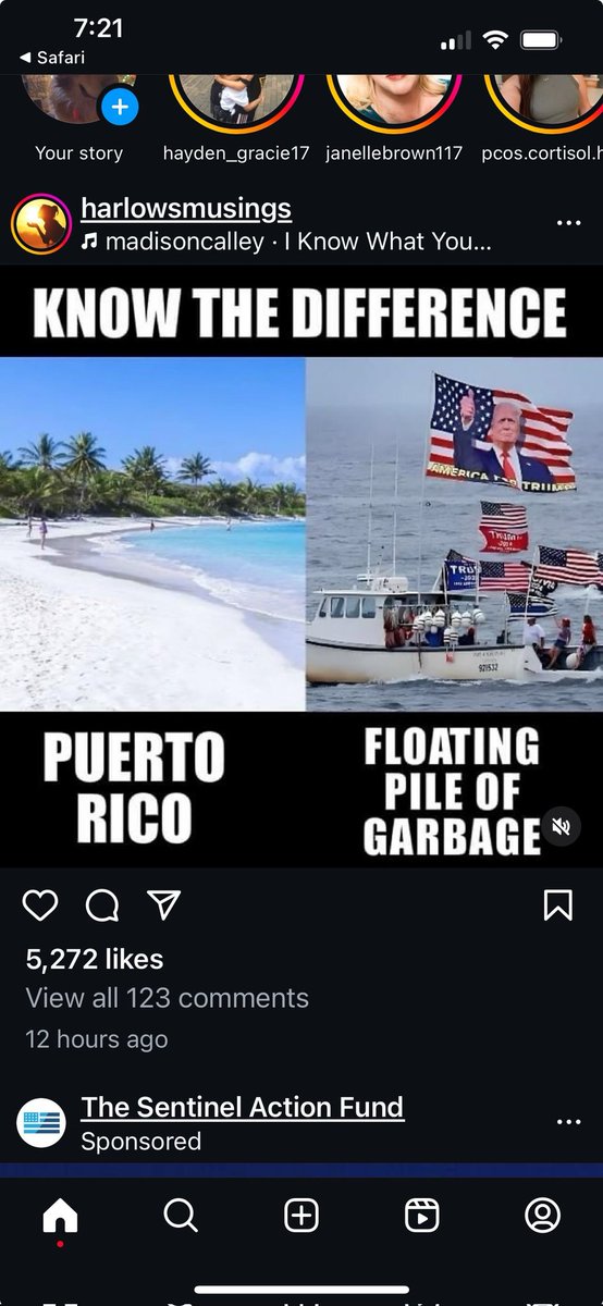 Ghost_Fly's tweet image. 