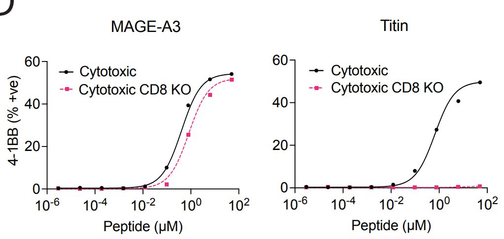 Malcolm Sim (@mjwsim) on Twitter photo Wonderful study from <a href="/Dushek/">Omer Dushek</a> lab that is a real breakthrough. I think they've solved 1/2 the problem of TCR cross-reactivity.
They can make the (in)famous A3A TCR (that resulted in lethal cardiac toxicity) completely safe!
Go read it to understand how! Wonderful study from <a href="/Dushek/">Omer Dushek</a> lab that is a real breakthrough. I think they've solved 1/2 the problem of TCR cross-reactivity.
They can make the (in)famous A3A TCR (that resulted in lethal cardiac toxicity) completely safe!
Go read it to understand how!
