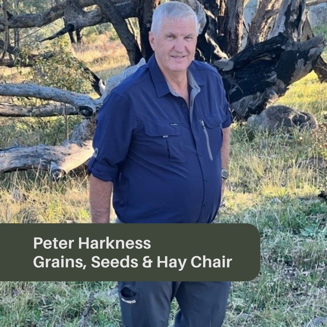 IFS_WA's tweet image. We’re excited to announce our new IFS Committee Chairs!

David Jarvie – Cattle
Maria Griffiths – Sheep &amp;amp; Goat
Peter Harkness – Grains, Seed &amp;amp; Hay

 Join us in congratulating them!

#WAFarmers #BiosecurityMatters #WAAg