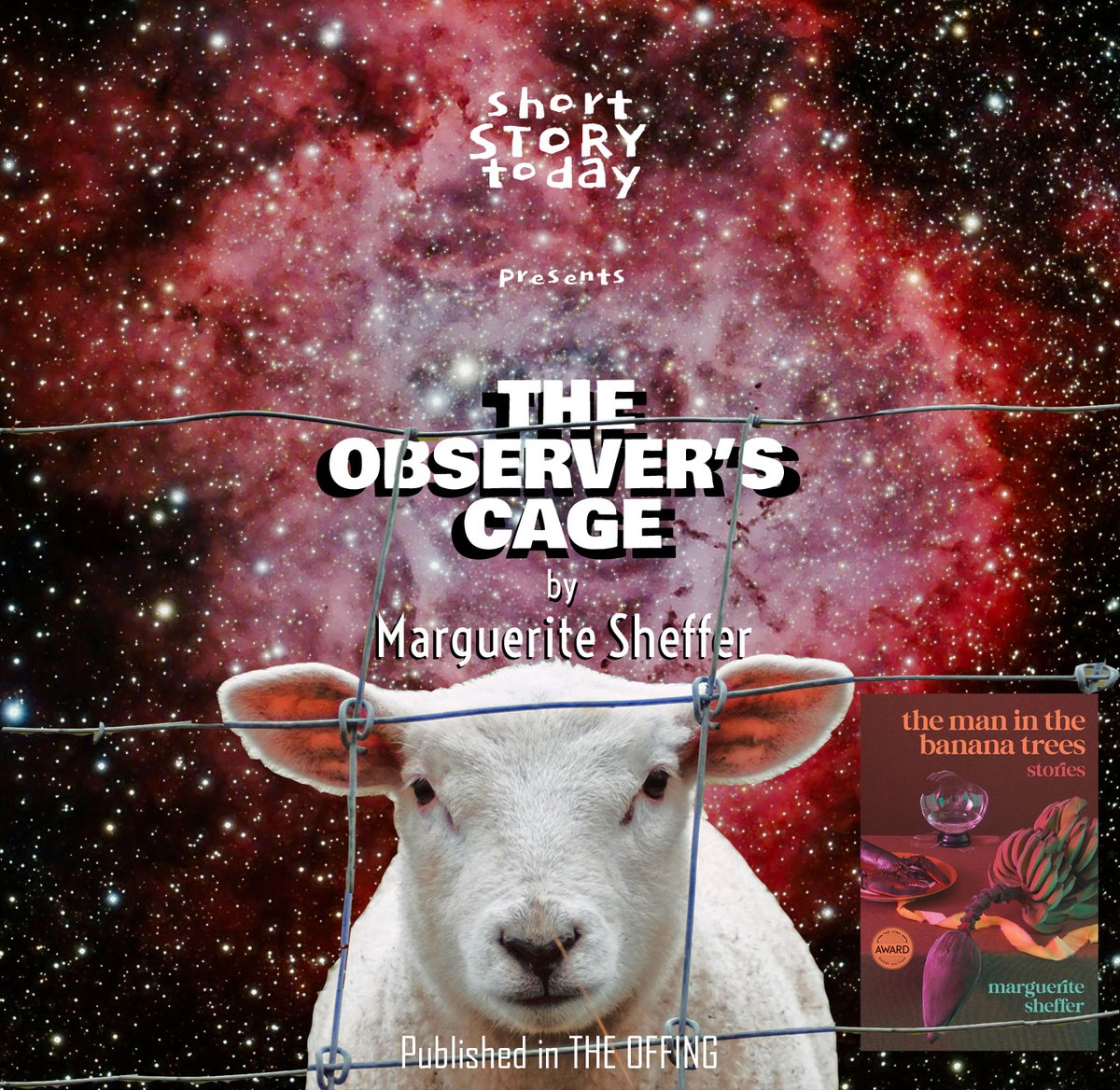 OUT NOW! New Orleans author Marguerite Sheffer is a Professor of Practice at Tulane University, where she teaches courses in design thinking and speculative fiction as tools for social change. Read her collection THE MAN IN THE BANANA TREES (<a href="/UIowaPress/">U of Iowa Press</a>) to see how it's done.