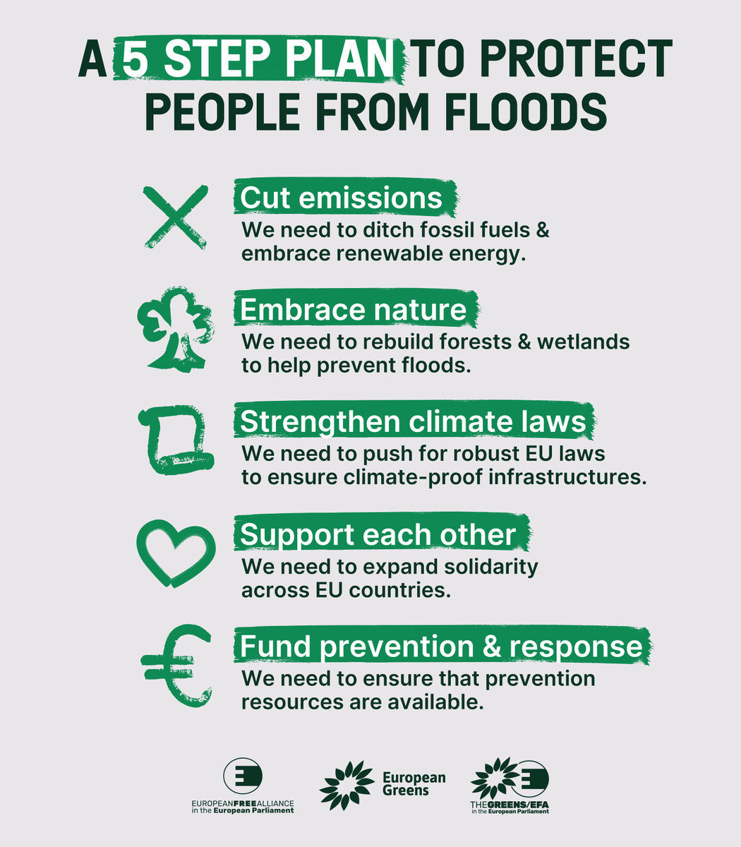 European Greens tweet media