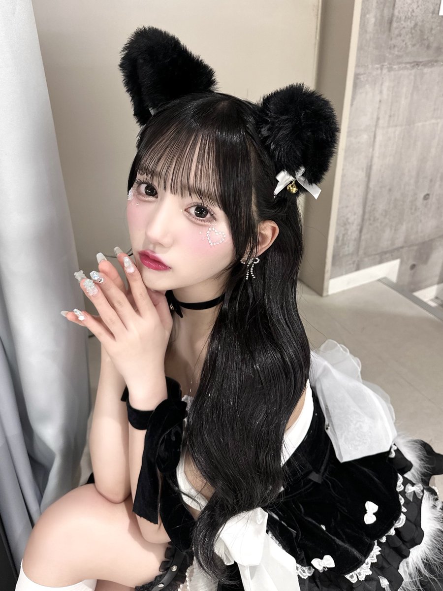 にゃんこ 🐈‍⬛🎀💞