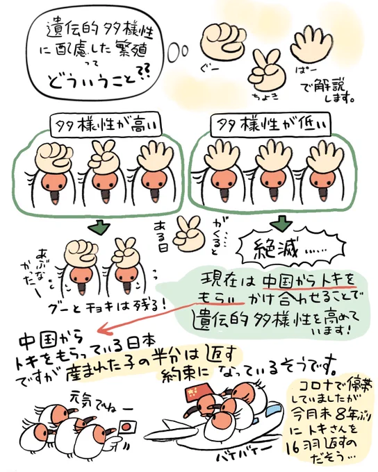 トキガイド養成講座🐦備忘録④(3/3)ふ 