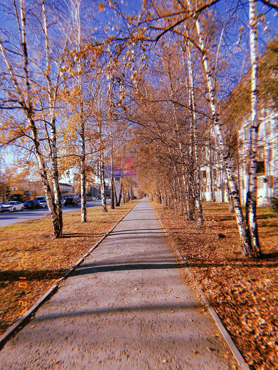 rin_rin_k_'s tweet photo. #autumn https://t.co/ga7kAOONpz