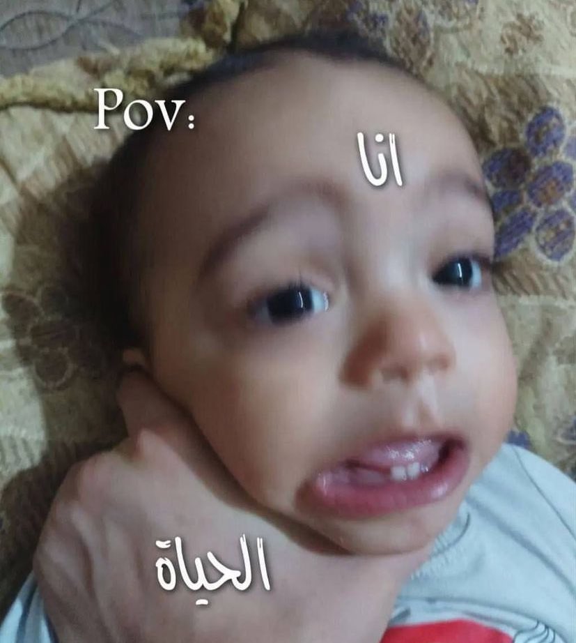 arabmemesss's tweet photo. https://t.co/qVVAwoK400