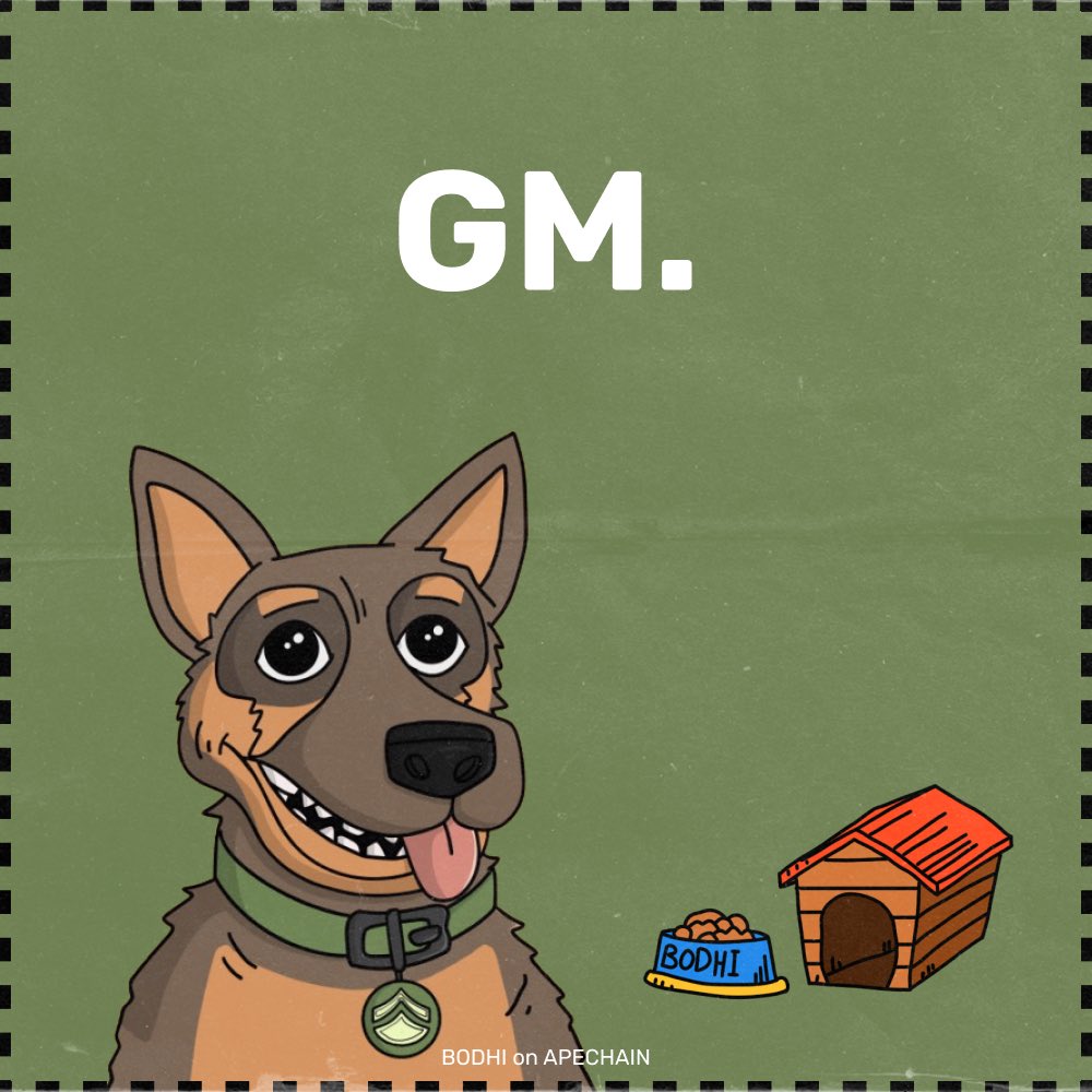 Bodhionape's tweet photo. GM GM 🦮
Today is a good day. Gordon has not answered my message yet. I want to destroy the house💀🦮
#ApeChain $ape https://t.co/v5hKxrfl7N