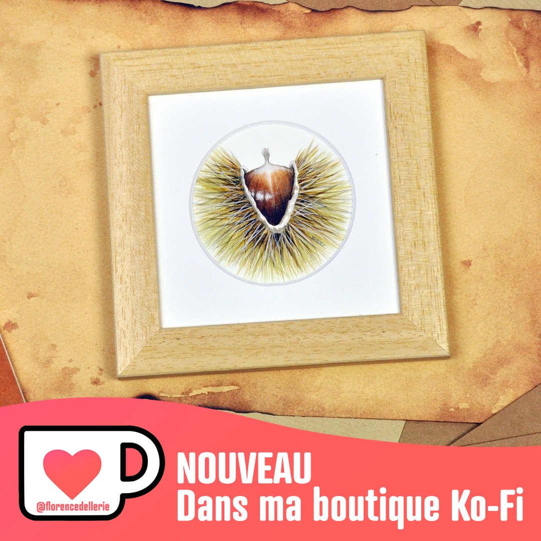 ✨NOUVEAU DANS MA B0UTIQUE✨ 

🎁5 nouvelles aquarelles originales encadrées, pièces uniques
🎁13 nouvelles reproductions encadrées (tirages très réduits, il n'y en aura pas pour tout le monde)

Des illus à petit prix, déjà prêtes à être accrochées/posées. Les RT sont précieux.🙏