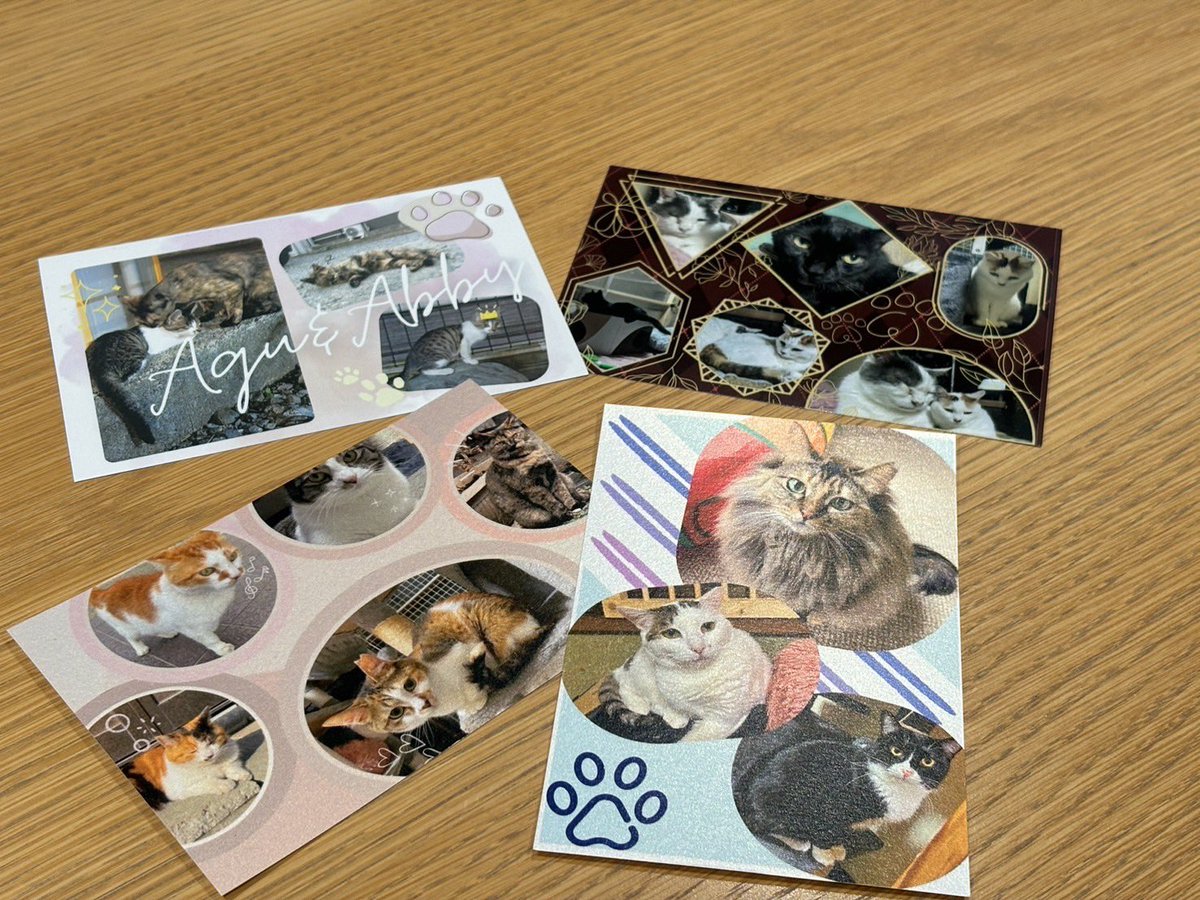 cat_volunteer's tweet photo. 都留文科大学　猫ボランティアサークルです🐈

今年の桂川祭では一昨年、去年と好評だったファブリックカレンダーと活動で関わったポストカード4種を販売します🐈‍⬛

11/1,2に3301教室でお待ちしております🐾 https://t.co/CP1UxLxmXF