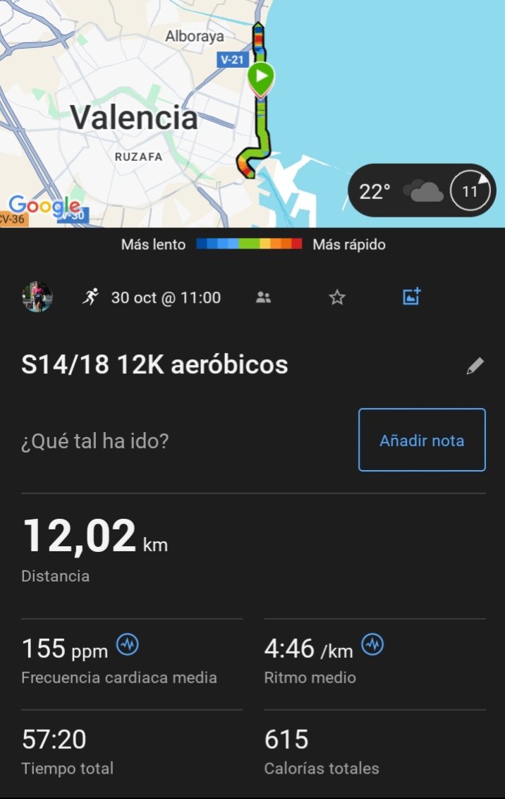 Mariajogilabert's tweet photo. Día 94 Modo Maratón Valencia ✅
Hoy 12 kilómetros ya en exteriores con mucha humedad y niebla, por suerte la lluvia y el viento ya han pasado de largo. https://t.co/II9L79pCOa