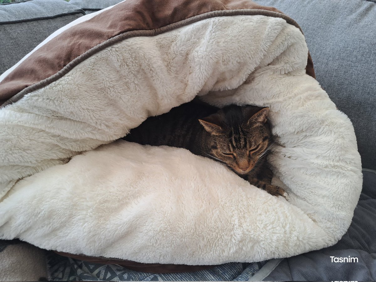 Staying warm in the cold catio!!!
