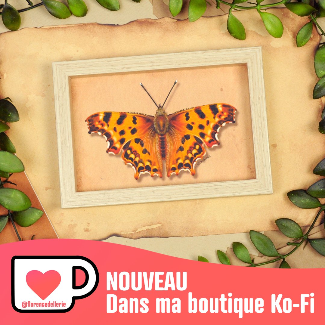 Florence Dellerie (compte inactif) tweet media