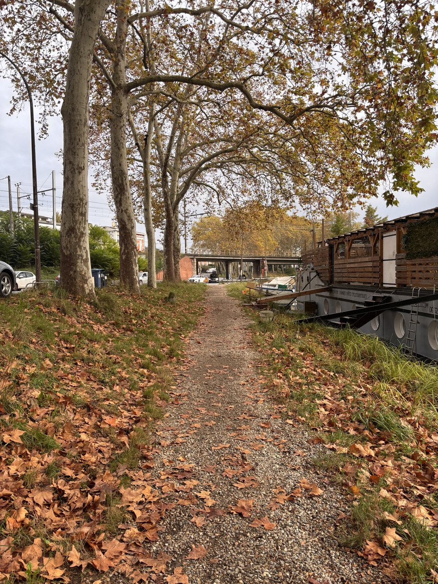 GabMaisBof's tweet photo. 🍂 https://t.co/ln1H8Wgc1Y