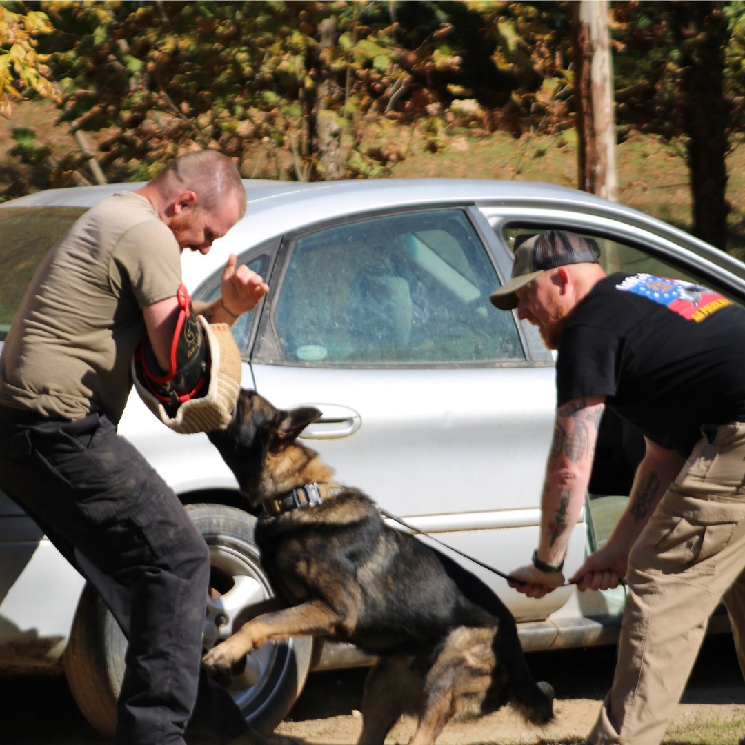 CustomK9Unltd's tweet photo. #policedog #workingdog #WorkingDogs #PoliceK9 #MWD #K9Training #Decoying #BiteWork #DetectionDogs #DrugDetection #ExplosivesDetection #FirearmsDetection #K9Handler #K9Unit #K9Life #K9 #dogtrainer #dogtraining https://t.co/18dGQw1oWq