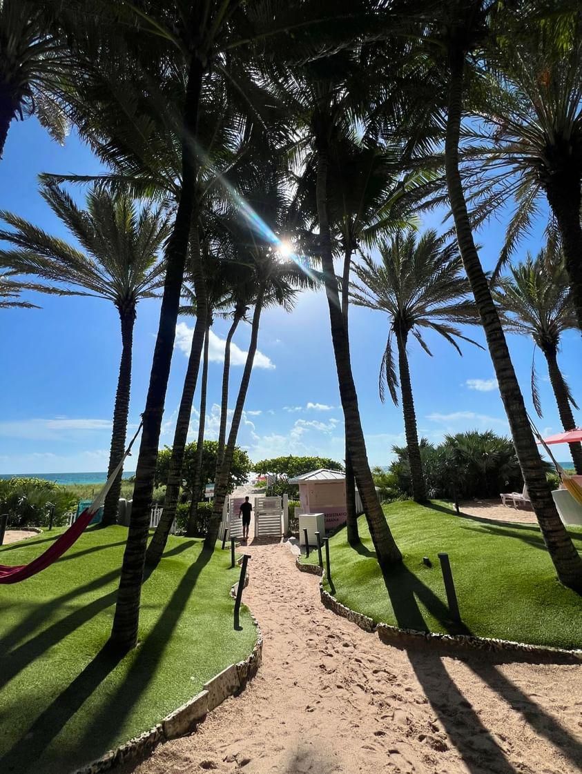 GrandSurfside's tweet photo. Let our palm-lined oasis be your seasonal retreat. https://t.co/HC1zc8bcEn

📸 annaornella 

#grandsurfside #oceanwalk #whitesand #pinkumbrellas #miamigetaway #beachadventure https://t.co/ZOkvFWMZLk