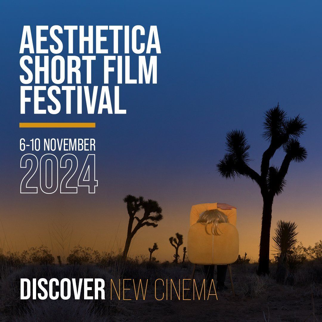 Film Hub North tweet media