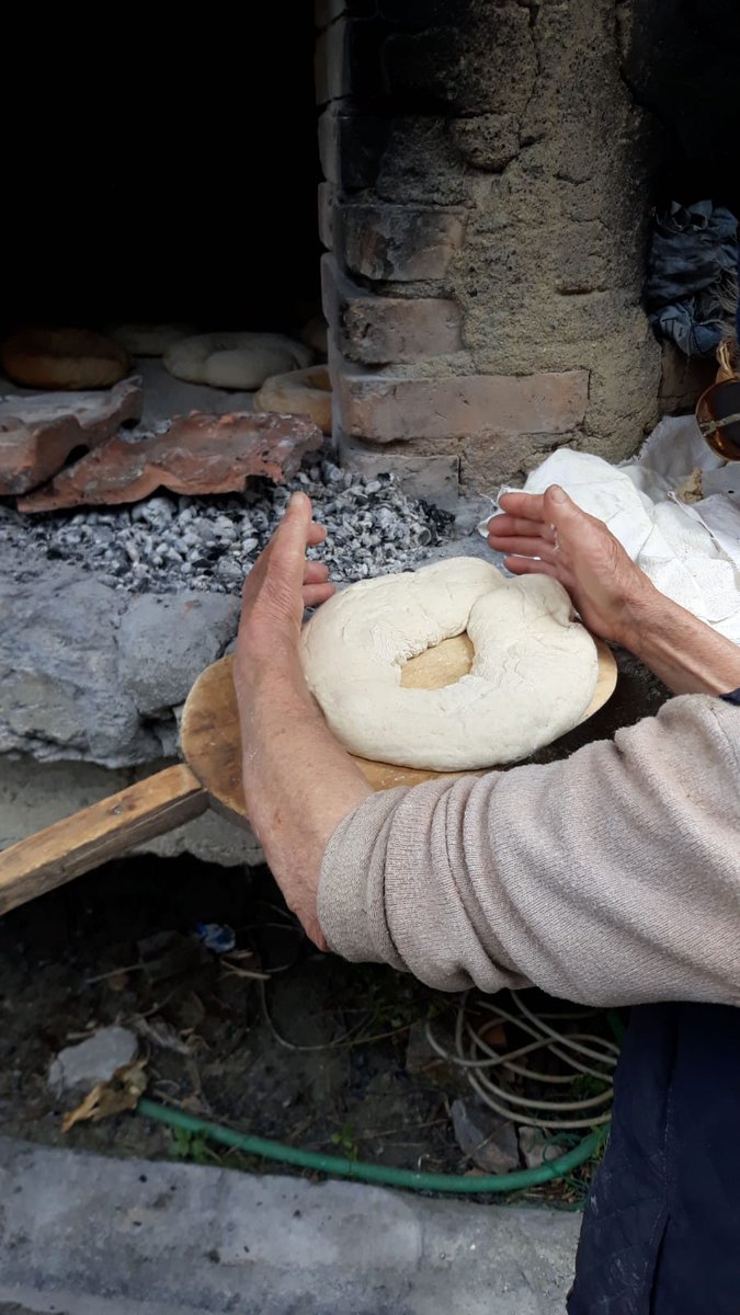 Dr Aurora Moxon tweet media