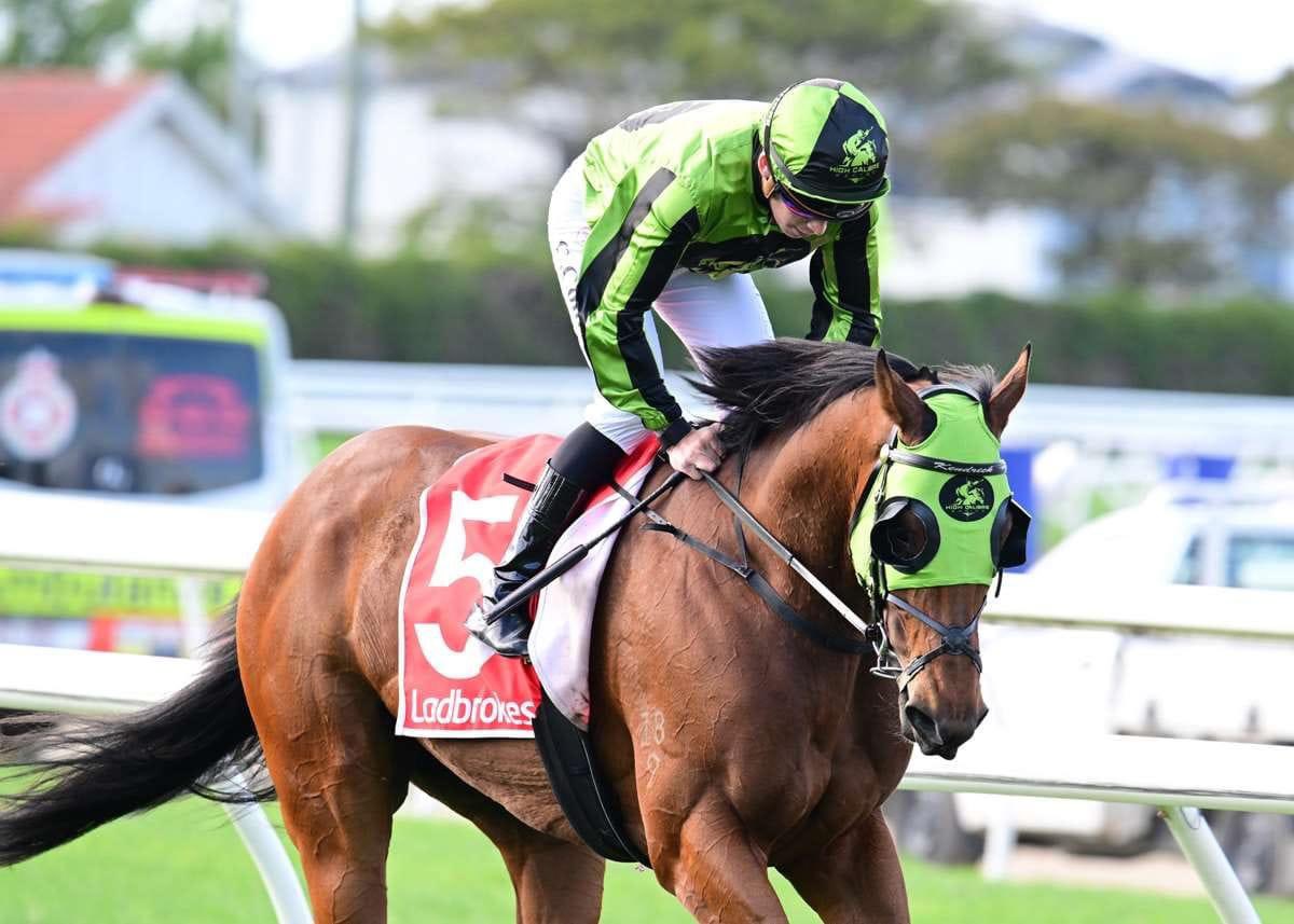 High Calibre Racing tweet media