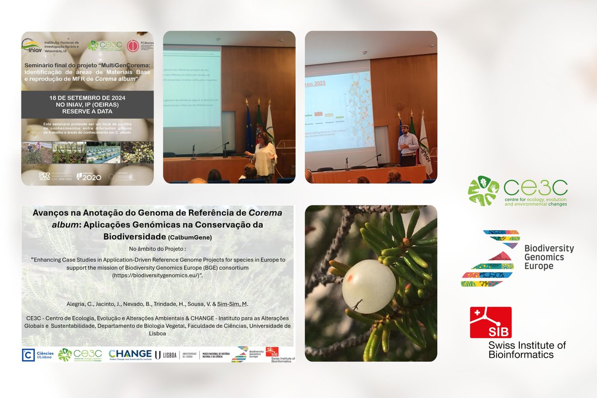 Carla Alegria (@carlaalegria14) on Twitter photo On Sep 18, we joined the MultiGenCorema team in a stakeholder event (PT) to discuss our BGE Case Study and the role of genome annotation in C. album conservation. #Genomics #Biodiversity #Conservation <a href="/CE3CResearch/">CE3C</a> <a href="/BioGenEurope/">Biodiversity Genomics Europe (BGE)</a> <a href="/REA_research/">European Research Executive Agency</a> <a href="/SBFI_CH/">SBFI SEFRI SERI</a> <a href="/ISBSIB/">SIB</a> @EUgreengenresearch On Sep 18, we joined the MultiGenCorema team in a stakeholder event (PT) to discuss our BGE Case Study and the role of genome annotation in C. album conservation. #Genomics #Biodiversity #Conservation <a href="/CE3CResearch/">CE3C</a> <a href="/BioGenEurope/">Biodiversity Genomics Europe (BGE)</a> <a href="/REA_research/">European Research Executive Agency</a> <a href="/SBFI_CH/">SBFI SEFRI SERI</a> <a href="/ISBSIB/">SIB</a> @EUgreengenresearch