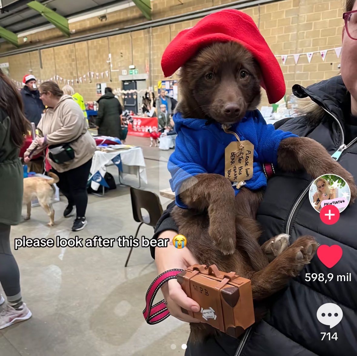 me derrito de amor ES PADDINGTON