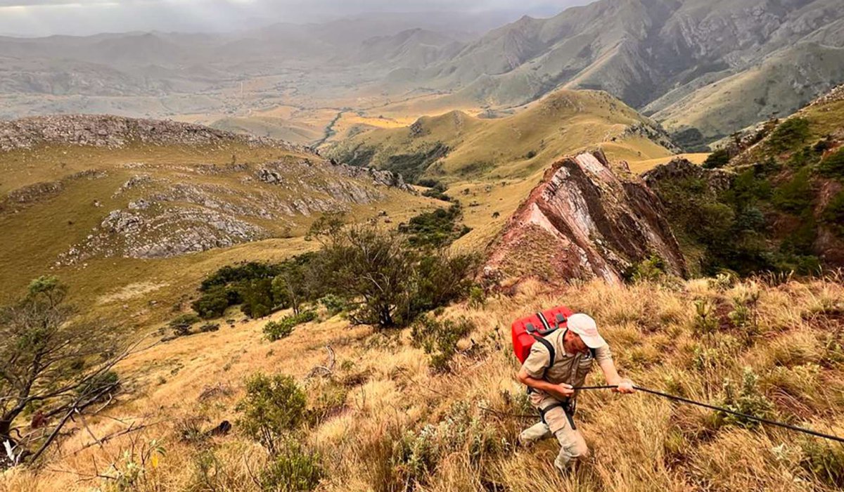 Largest study on #ochre extraction in #Africa is out in <a href="/NatureComms/">Nature Communications</a>, showing  that ochre  has been used as a dye and for ritual purposes for almost 50,000 years. The study also confirms the “Lion Cavern” in #Eswatini as the world’s oldest ochre mine. ⛏️
👉sgn.one/bwr