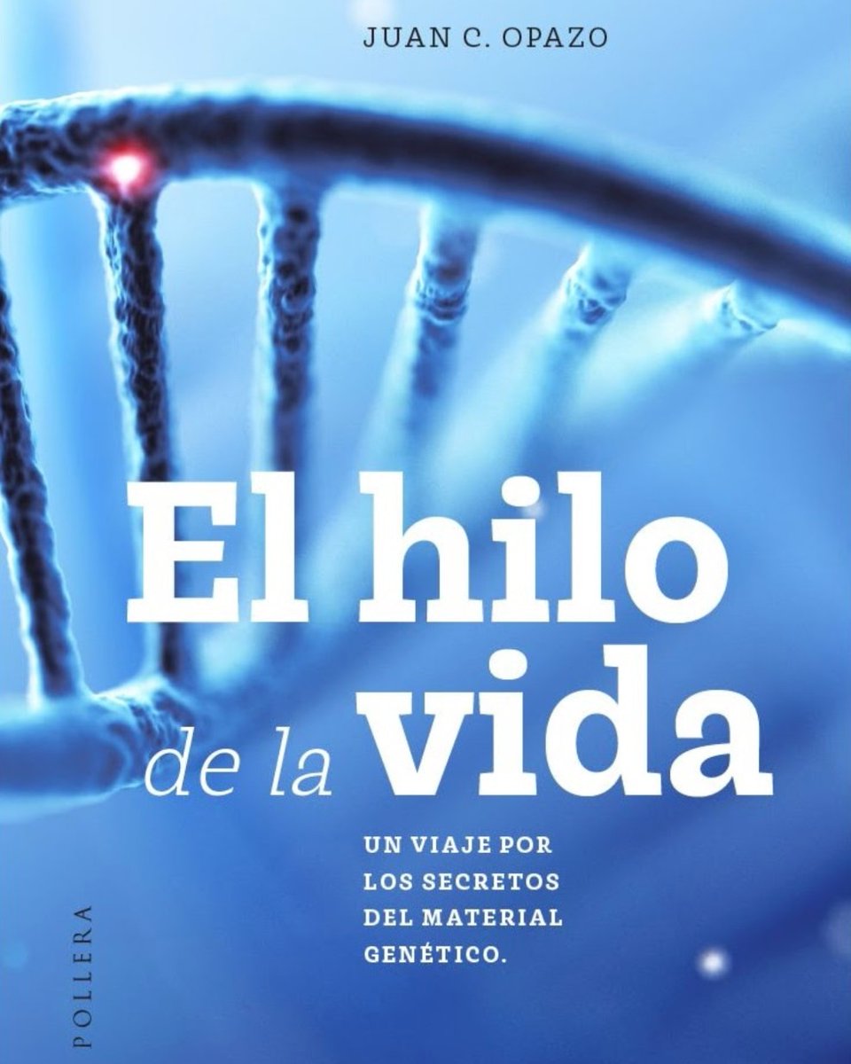 opazolab's tweet image. Les cuento con mucha alegría 😁 que mi libro📕 titulado "El Hilo de la Vida" estará próximamente en librerías y versión Kindle.
En estas páginas podrás conocer aspectos fundamentales del ADN 🧬, evolución, y una reseña de quien lo aisló por primera vez, Friedrich Miescher