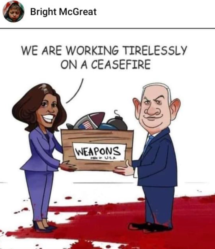 JadedOrganizer's tweet photo. #HolocaustHarris has been supplying the weapons and ammunition to 💣 women and children in refugee tents 🏕️ all year and she expects Palestinians to vote for their executioner https://t.co/q1C0dXZtMZ