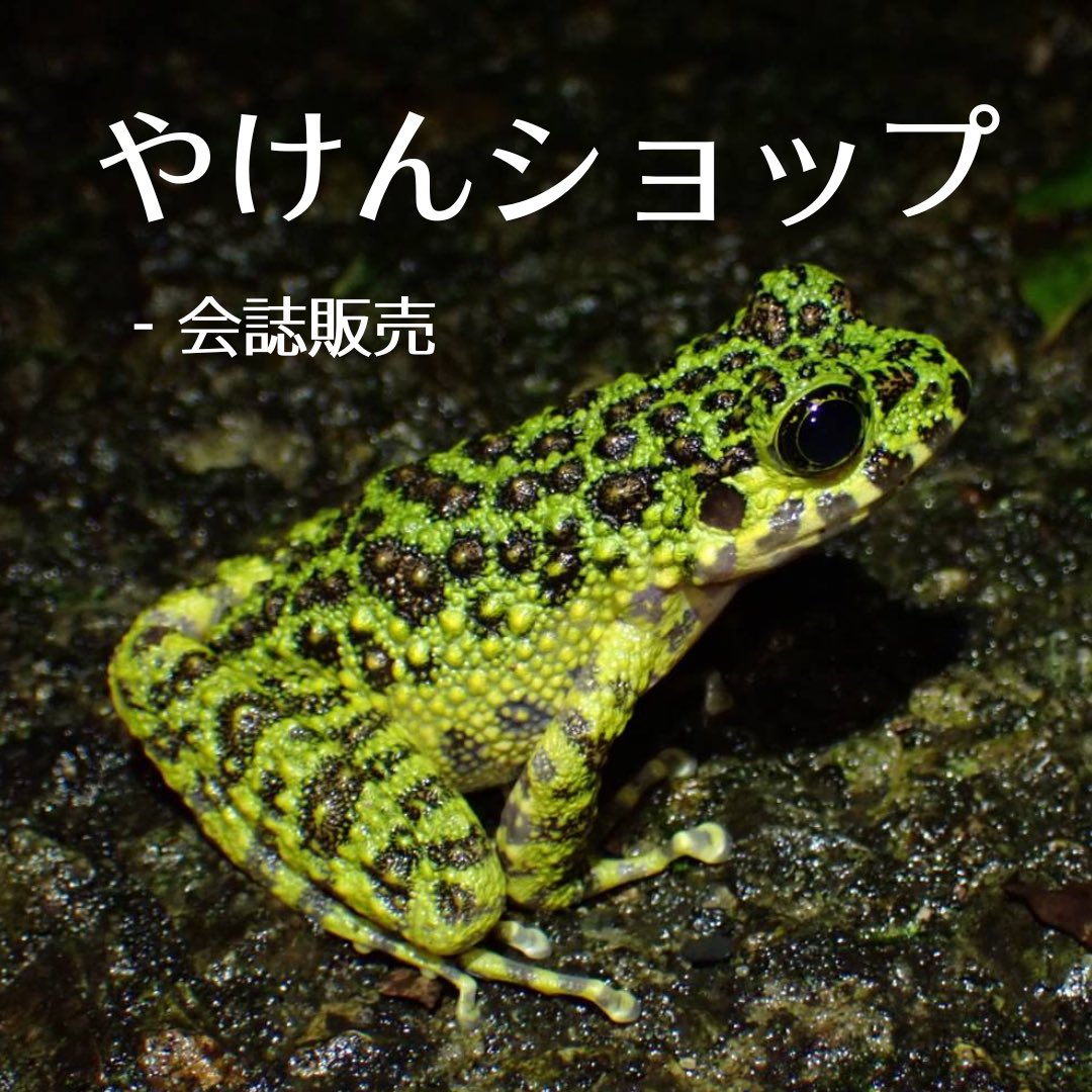 【告知】
やけんは、11/20～11/23の全日程でNFに出展します！今年も様々な生物の標本や生体の展示を用意し、皆様をお待ちしています。
会場では会誌や生き物グッズの販売も行います！会誌は会場での購入に加え、オンライン販売も実施予定ですので、遠方の方や当日来場できない方もぜひご利用ください✨