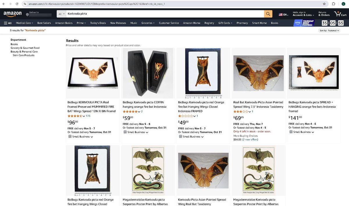 Save the painted woolly bat from this gruesome Halloween trend on <a href="/amazon/">Amazon</a> : share.eko.org/889418961t?ref…