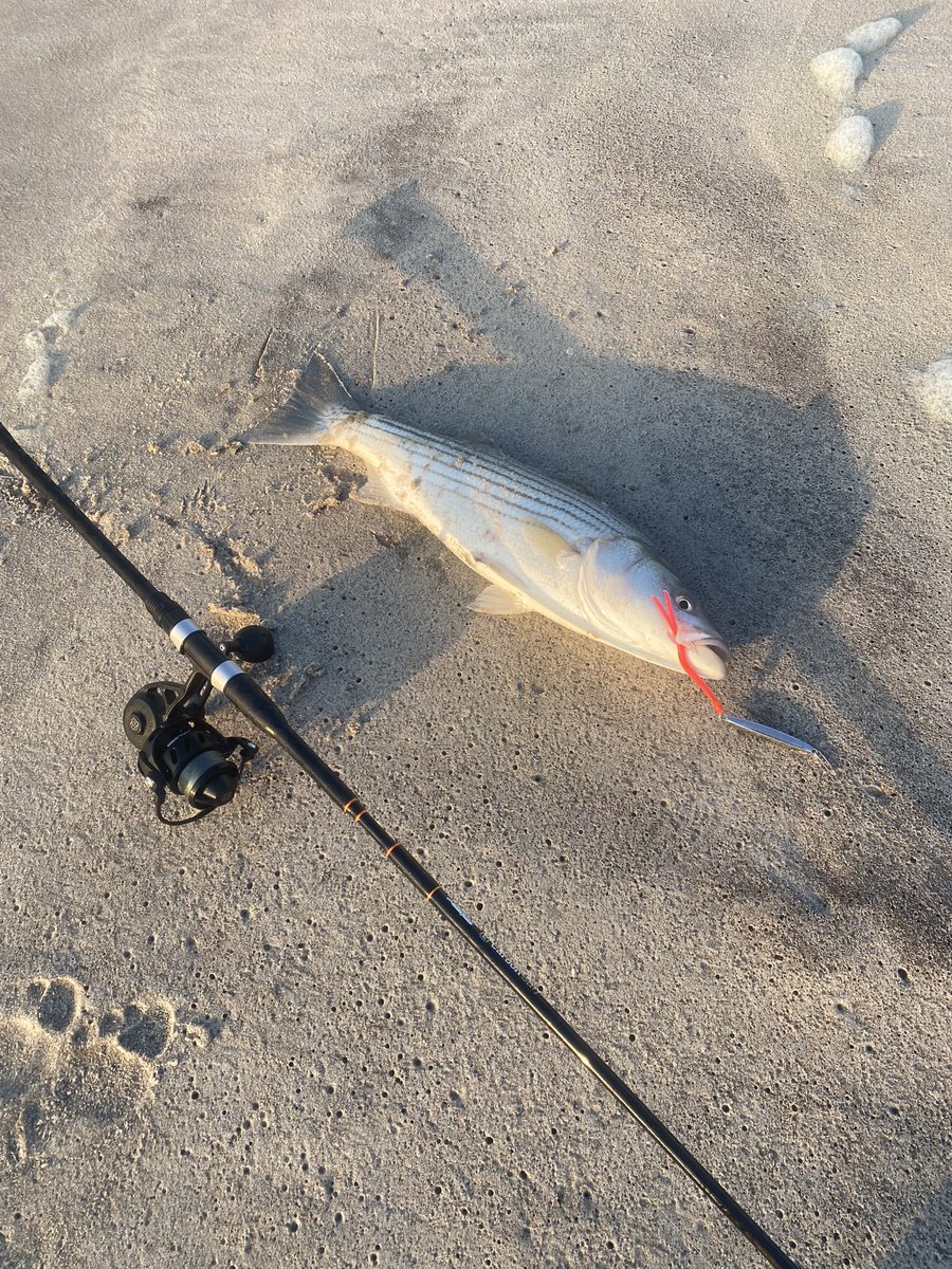 chartsmarter's tweet image. I can assure you there is no better way to start the day even if you are a $RDDT shareholder #fallrun #stripedbass