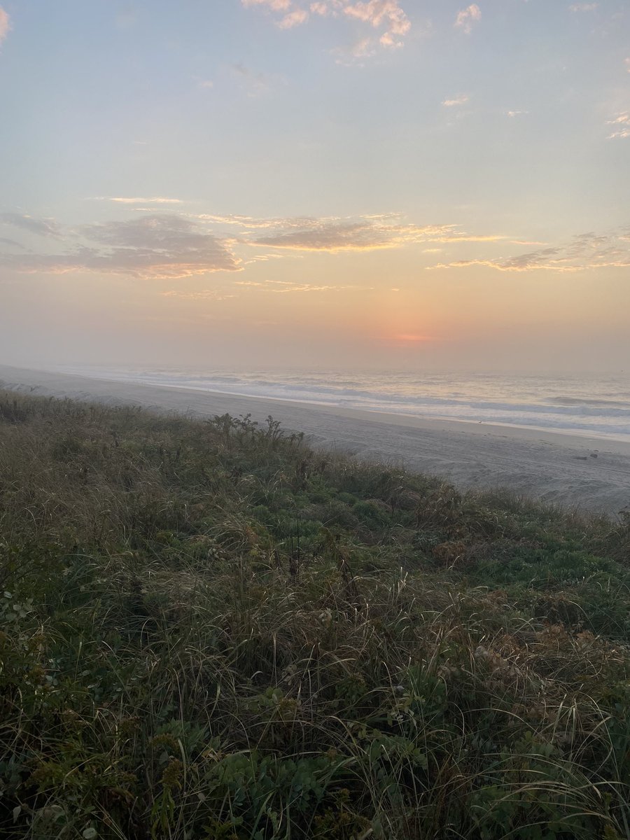 chartsmarter's tweet image. I can assure you there is no better way to start the day even if you are a $RDDT shareholder #fallrun #stripedbass