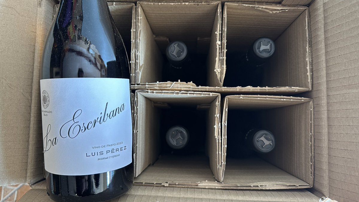 GuiAlbertín tweet media