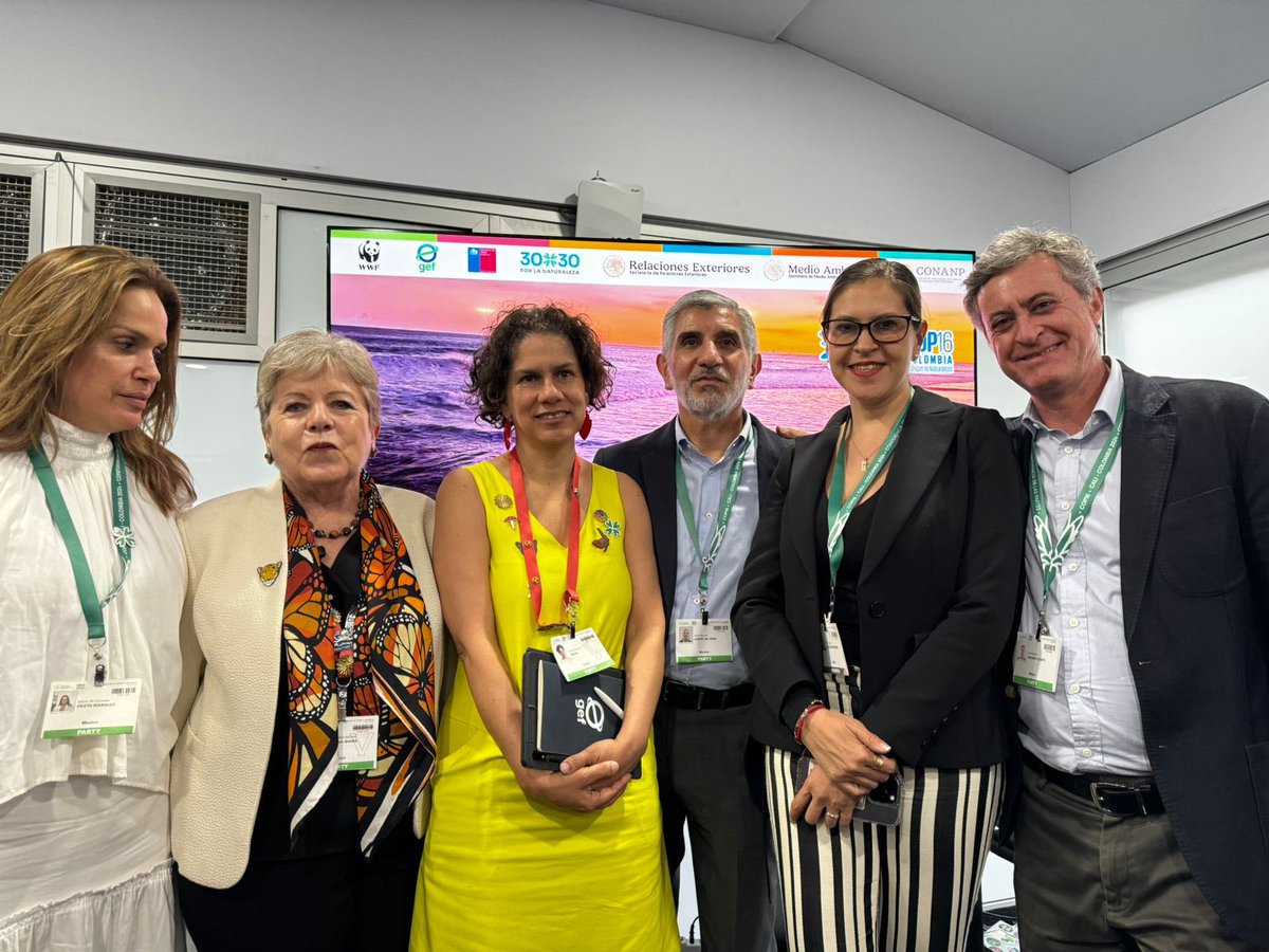 CESPEDES (@cespedes_cce) on Twitter photo Presentes como miembros de la Delegación Mexicana en la #COP16 como sector empresarial: <a href="/CESPEDES/">Juan Céspedes</a>, <a href="/GrupoPresidente/">Grupo Presidente®</a> <a href="/BASF_Mexico/">BASF México, CA & C</a> <a href="/ENGIEgroup/">ENGIE</a> Presentes como miembros de la Delegación Mexicana en la #COP16 como sector empresarial: <a href="/CESPEDES/">Juan Céspedes</a>, <a href="/GrupoPresidente/">Grupo Presidente®</a> <a href="/BASF_Mexico/">BASF México, CA & C</a> <a href="/ENGIEgroup/">ENGIE</a>