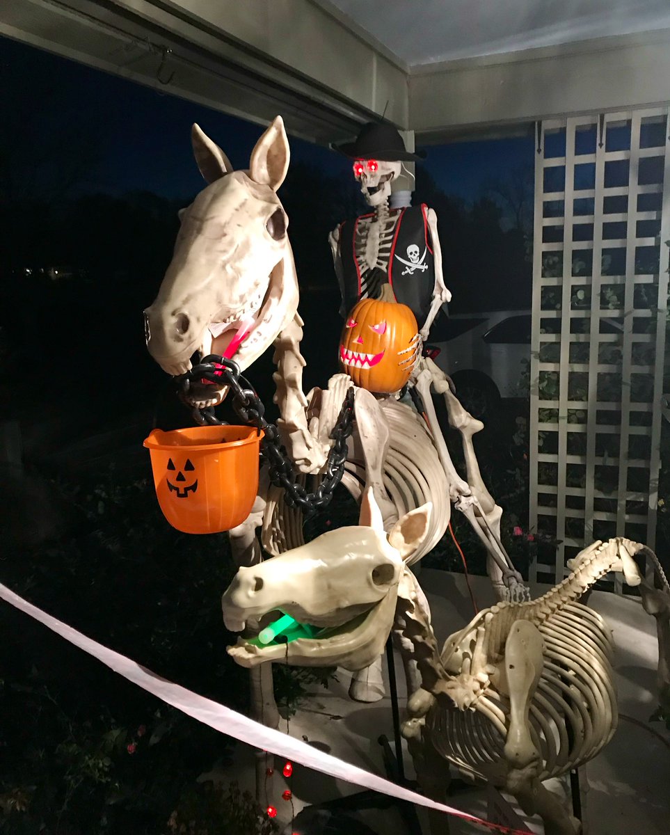 Yorkie7's tweet image. ℍ𝕒𝕡𝕡𝕪 𝕎𝕖𝕕𝕟𝕖𝕤𝕕𝕒𝕪!🎃🧡🐾💀👻

Here’s a throwback Halloween. 
We had a great porch to decorate.🧡🎃
Here’s my skeleton horse and pony day and night. Horse would neigh when kids walked by! Skeleton sheriff!! 💀💀🧡🧡

#throwbackhalloween
#happywednesday