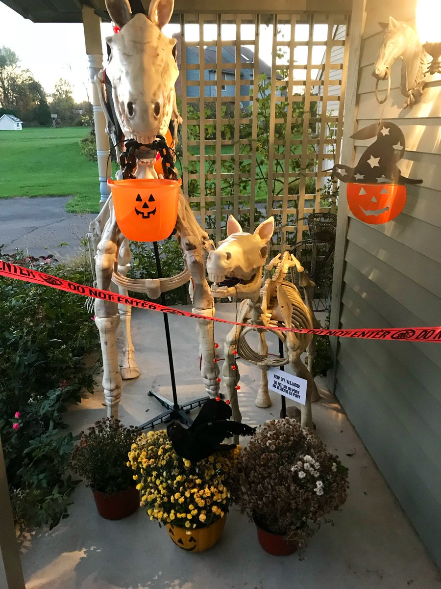 Yorkie7's tweet image. ℍ𝕒𝕡𝕡𝕪 𝕎𝕖𝕕𝕟𝕖𝕤𝕕𝕒𝕪!🎃🧡🐾💀👻

Here’s a throwback Halloween. 
We had a great porch to decorate.🧡🎃
Here’s my skeleton horse and pony day and night. Horse would neigh when kids walked by! Skeleton sheriff!! 💀💀🧡🧡

#throwbackhalloween
#happywednesday
