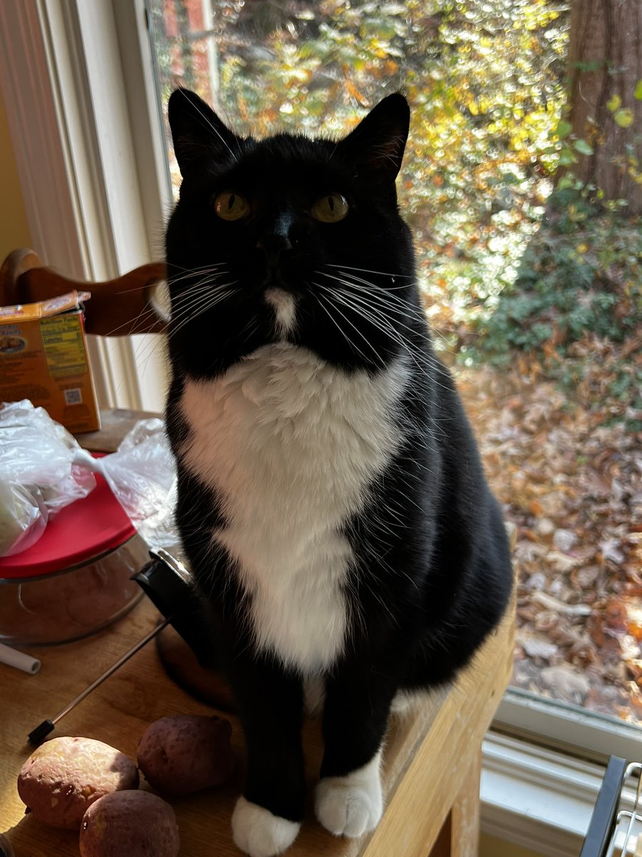 shout out <a href="/Thumbsuprecords/">Thumbs Up Records</a> + <a href="/equipment_ohio/">e𝒬uipment</a> for completing the trifecta of alt. account (white vinyl variant)