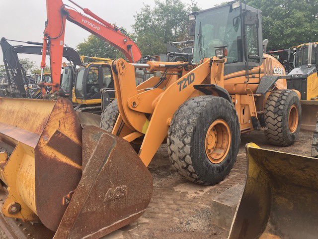 Ariana Pesce tweet media