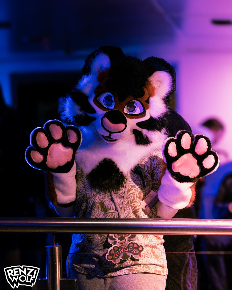 Aoi the Dutch Angel Dragon (@aoithedragon) on Twitter photo An absolutely awesome photo of Ginger the Tiger at FurGroove 2024, taken by <a href="/RenziWolf/">Renzi Wolf</a>! This may be the last photo I have of Ginger at FG, but don't worry! The final video of this event will soon be here as well! :D
#FurGroove #FurGroove2024 An absolutely awesome photo of Ginger the Tiger at FurGroove 2024, taken by <a href="/RenziWolf/">Renzi Wolf</a>! This may be the last photo I have of Ginger at FG, but don't worry! The final video of this event will soon be here as well! :D
#FurGroove #FurGroove2024
