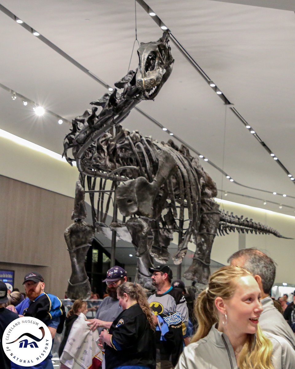 Cleveland Monsters tweet media