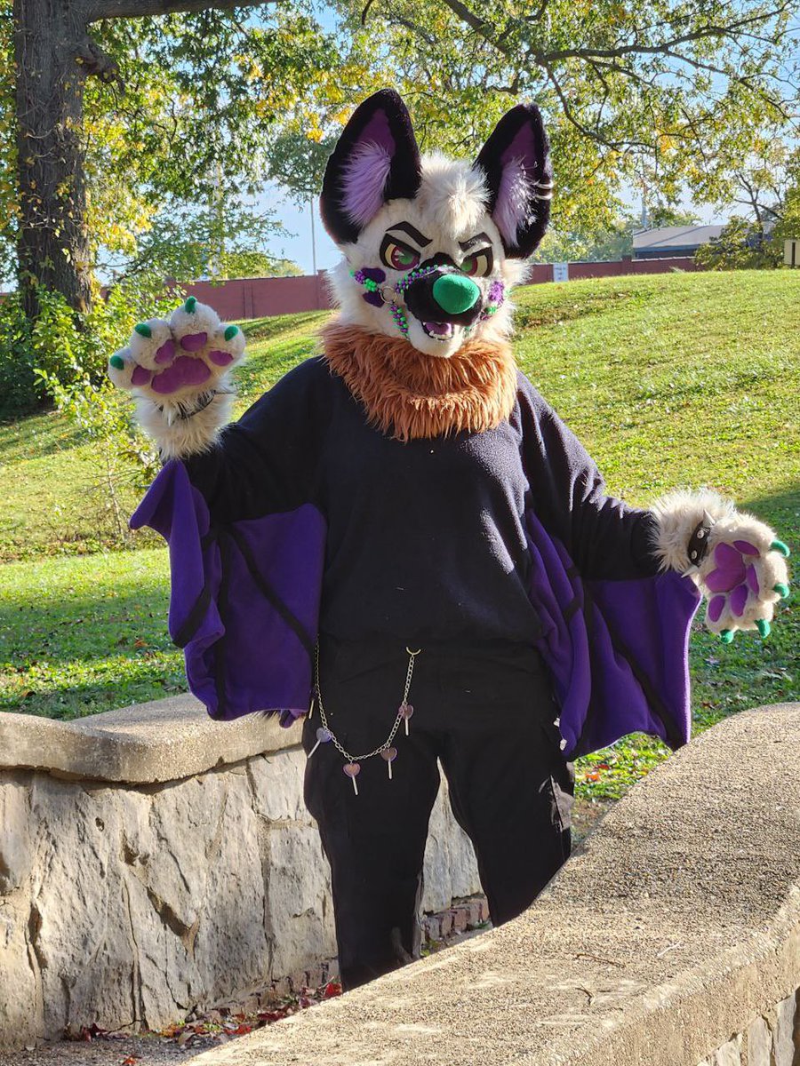 CorgiCc's tweet photo. Donβt let the shadows of yesterday spoil the sunshine of tomorrow. Live for today. βοΈ
#Tavithefruitbat #furry #fursuit #furryfandom #fall #autumn #ccthecorgi https://t.co/sgzB7UDPuE