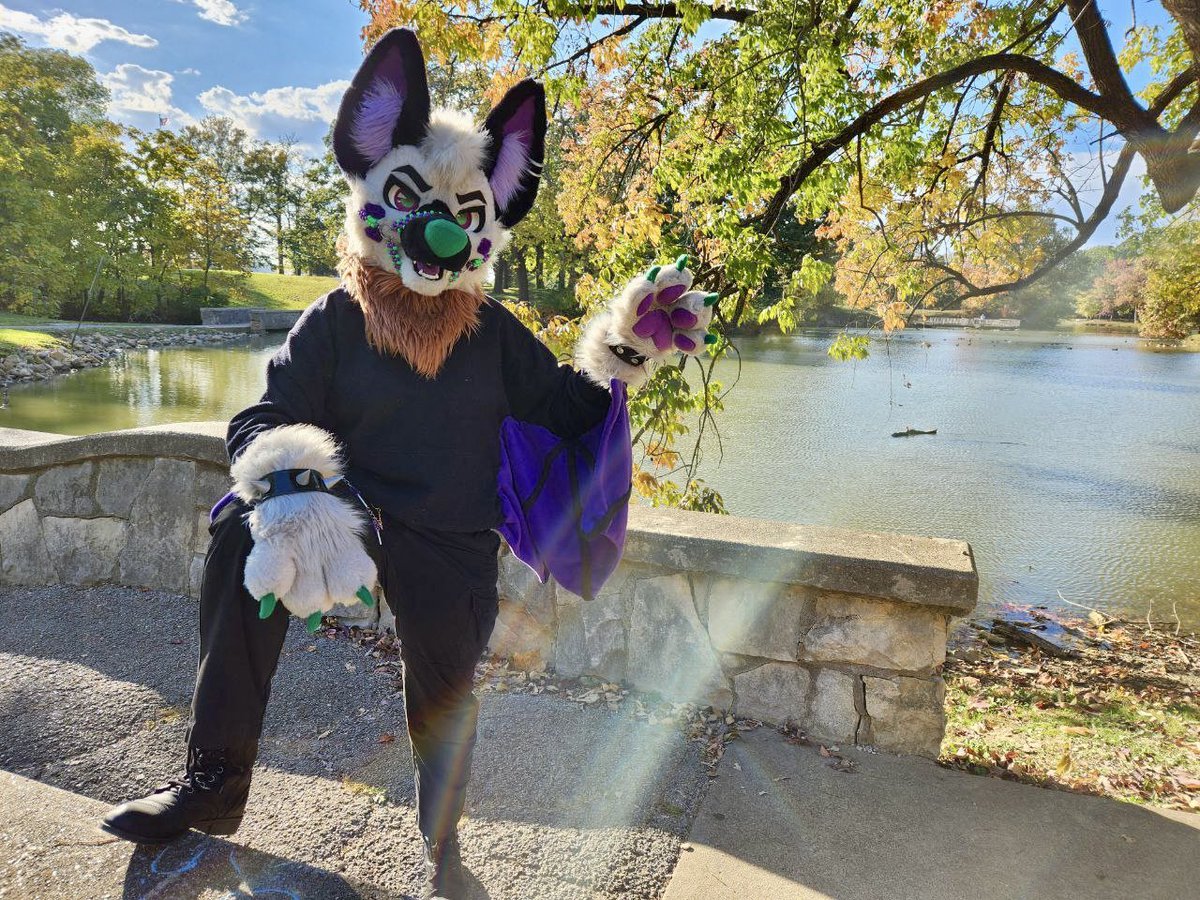 CorgiCc's tweet photo. Donβt let the shadows of yesterday spoil the sunshine of tomorrow. Live for today. βοΈ
#Tavithefruitbat #furry #fursuit #furryfandom #fall #autumn #ccthecorgi https://t.co/sgzB7UDPuE