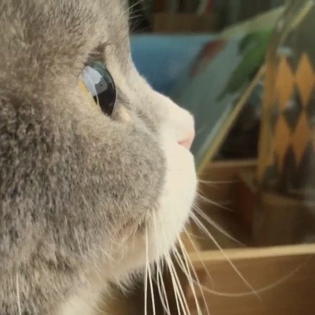 🥹🥹🥹🥹🥹🥹🥹🥹🥹🥹🥹🥹