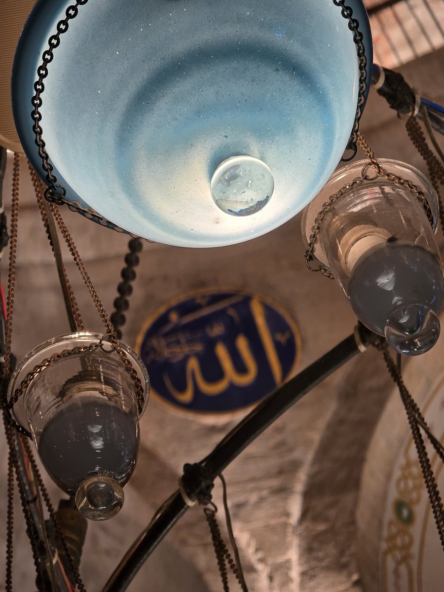 Allah, iman sahiplerinin velîsidir.
