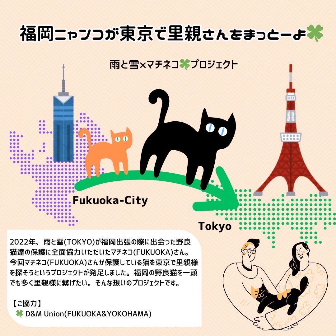 63NiY6yY7YDHiYk's tweet photo. 新プロジェクトをスタートさせます。
私が博多出張中に出会った妊婦猫から始まり、その地域のTNR活動、まなぶ、まほろの保護を全面協力下さった福岡で活動する猫ボラのマチネコさんとのプロジェクトです。
頻繁に譲渡会を開催しても譲渡が中々進まず保護したくてもできない猫達がたくさんいる事を聞いて、いつ��マチネコさんに恩返したいと思っていました。
そんな中協力して下さる方もいてこのプロジェクトが進められることになりました。
11/4に2匹の猫を福岡から受け入れることになりました。
この2匹の譲渡が進めばまた受け入れも進み、福岡で保護したくてもできない猫達の保護が進みます。
預かりボランティアさんも大募集中です。
応援よろしくお願いいたします。