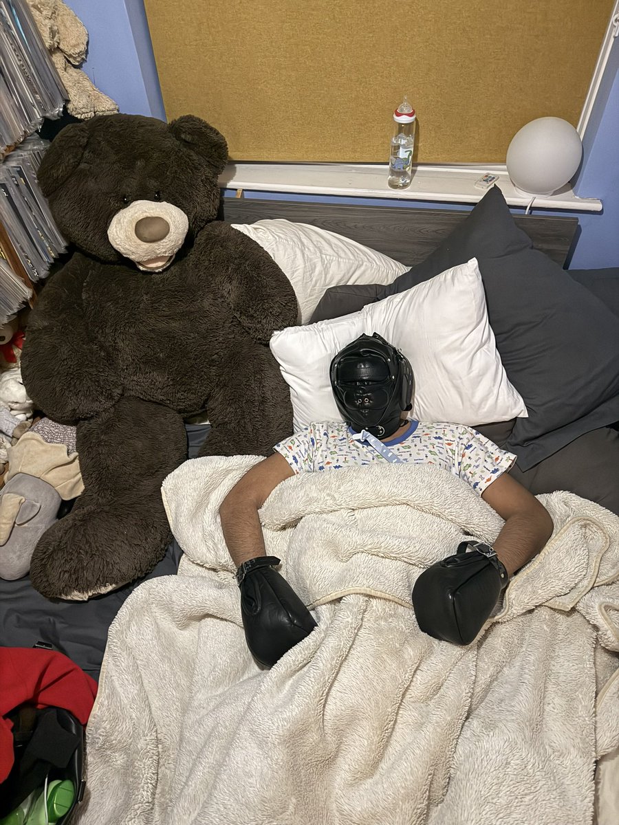 Alexander tweet media