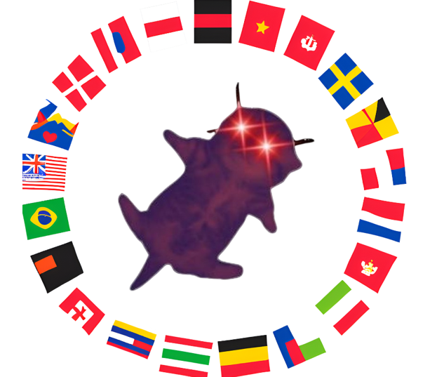 Imaginecat_'s tweet photo. #Imagine we declare the estbalishment of a nation. Perhpas it's called #ImagineNATION? https://t.co/VjXrmyrBTM