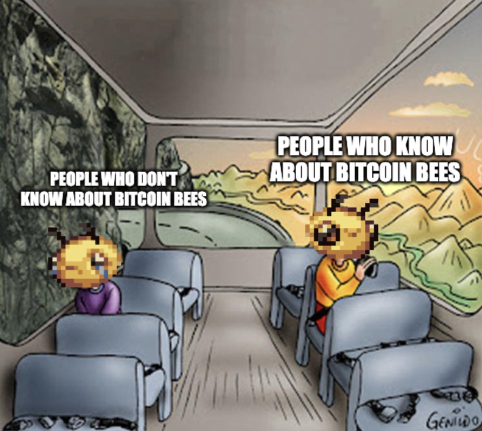 Bitcoin Bees tweet media