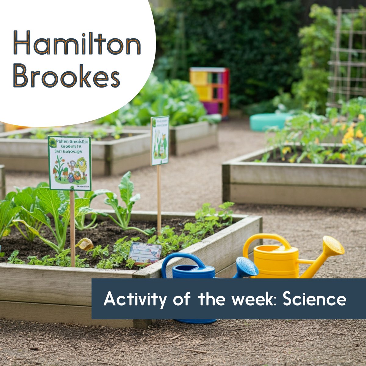 From plants to predators! 🦁🐛 Discover the fascinating world of food chains in class with our Year 1/2 lesson plans. Explore your school grounds for real-life examples. loom.ly/8r1eylQ