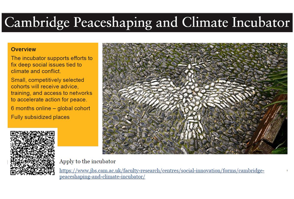 Deadline to apply November 3!

#peaceshaping #peace #climate #socialinnovation